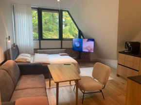 Vallikraavi Studio Apartment